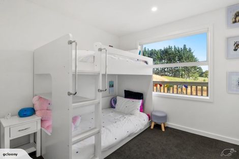 Photo of property in 54 Ainslee Street, Highlands Park, New Plymouth, 4312