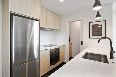 Photo of property in 204/8 Kingsland Terrace, Kingsland, Auckland, 1021