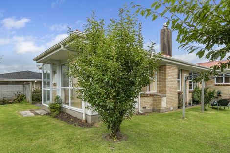 Photo of property in 117 Fourteenth Avenue, Tauranga South, Tauranga, 3112