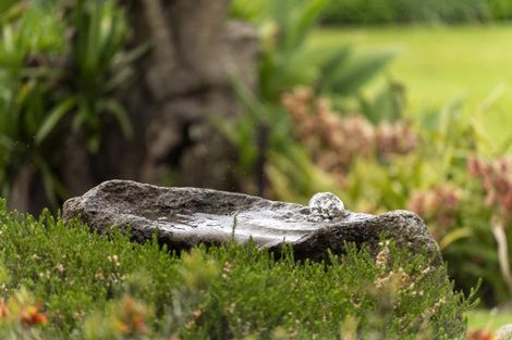 Photo of property in 40 Te Karaka Drive, Te Puna, Tauranga, 3174