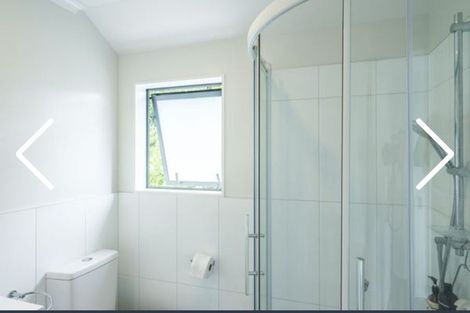 Photo of property in 40a Owen Street, Newtown, Wellington, 6021