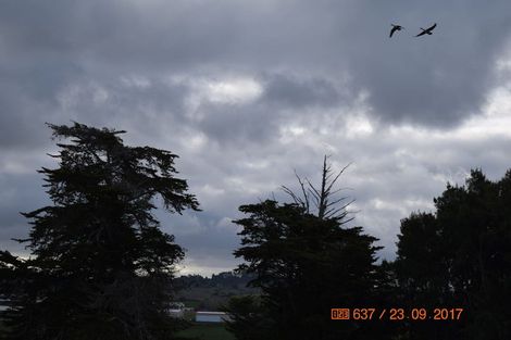 Photo of property in 166 Top Road, Dairy Flat, 0792