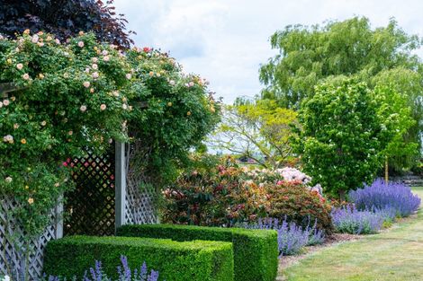 Photo of property in 170 Tinwald Westerfield Mayfield Road, Tinwald, Ashburton, 7771