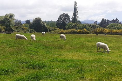 Photo of property in 848 Dovedale Road, Dovedale, Wakefield, 7096