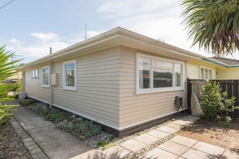 Photo of property in 19 Elizabeth Street, Richmond, 7020