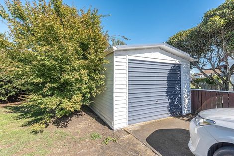 Photo of property in 21 Treadwell Street, Springvale, Whanganui, 4501