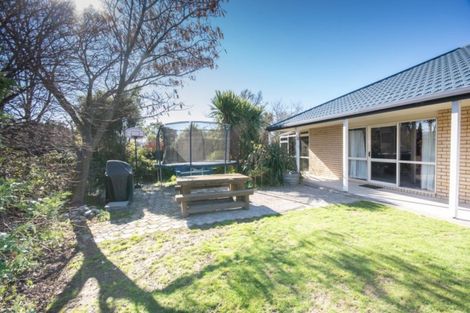 Photo of property in 7 Cedar Grove, Witherlea, Blenheim, 7201