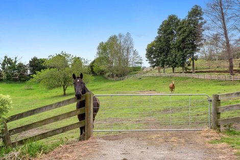 Photo of property in 182 Crawford Road, Minden, Tauranga, 3171