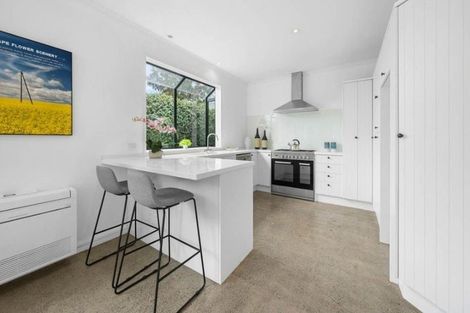 Photo of property in 16b Seccombes Road, Epsom, Auckland, 1023