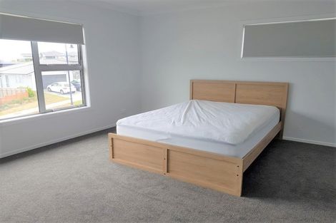 Photo of property in 105 John Burke Drive, Aotea, Porirua, 5024