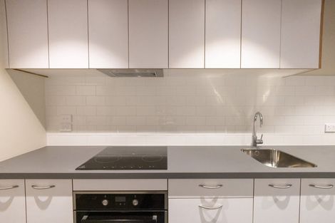 Photo of property in Te Kainga Te Aka, 203 Willis Street, Te Aro, Wellington, 6011