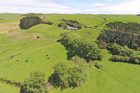 Photo of property in 549 Whiriwhiri Road, Otaua, Waiuku, 2682