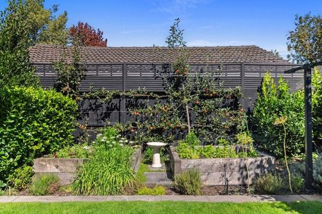 Photo of property in 43 Colombo Street, Cashmere, Christchurch, 8022