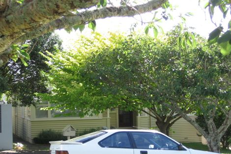 Photo of property in 32 Alexis Avenue, Mount Albert, Auckland, 1025