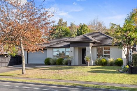 Photo of property in 228 Carmichael Road, Bethlehem, Tauranga, 3110