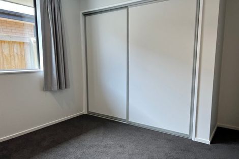 Photo of property in 29 Mills Road, Marshland, Christchurch, 8051