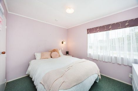 Photo of property in 103 Oxford Street, Ashhurst, 4810
