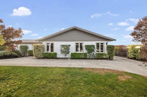 Photo of property in 29 Hospital Road, Witherlea, Blenheim, 7201