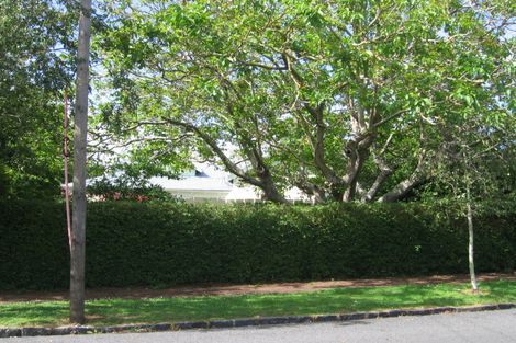 Photo of property in 18 Domett Avenue, Epsom, Auckland, 1023