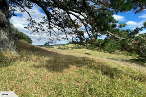 Photo of property in 103 Zanders Road, Helensville, Waimauku, 0882