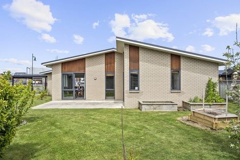 Photo of property in 48 Pengover Avenue, Leamington, Cambridge, 3432