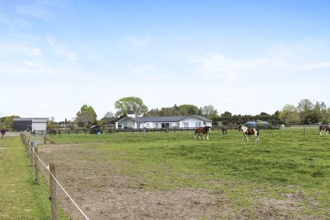 Photo of property in 27c Marshmeadow Road, Newstead, Hamilton, 3286