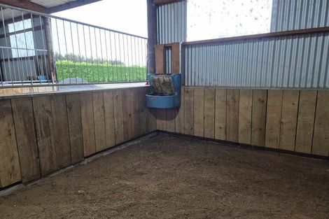 Photo of property in 656a Ryal Bush-wallacetown Road, Wallacetown, Invercargill, 9874