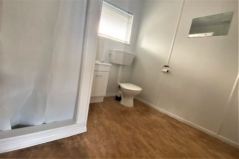 Photo of property in 50 Seabrook Avenue, New Lynn, Auckland, 0600