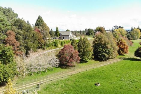 Photo of property in 998b Tauranga Road, Te Poi, Matamata, 3473