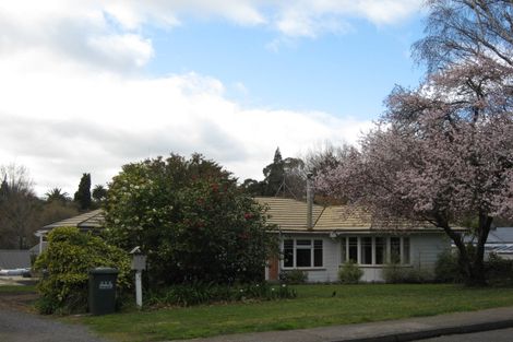 Photo of property in 75 Mchardy Street, Havelock North, 4130