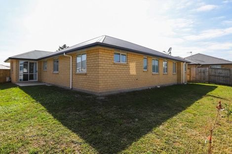 Photo of property in 94c Higgins Road, Dinsdale, Hamilton, 3204