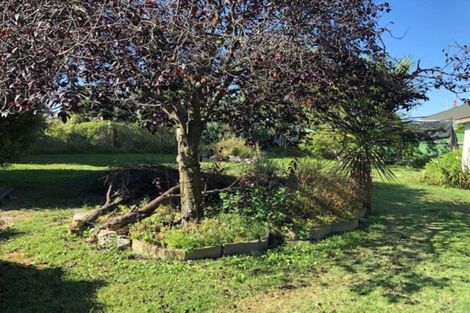 Photo of property in 911a Lyell Street, Akina, Hastings, 4122