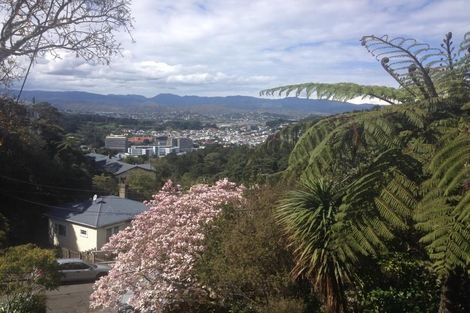 Photo of property in 35 Coolidge Street, Brooklyn, Wellington, 6021