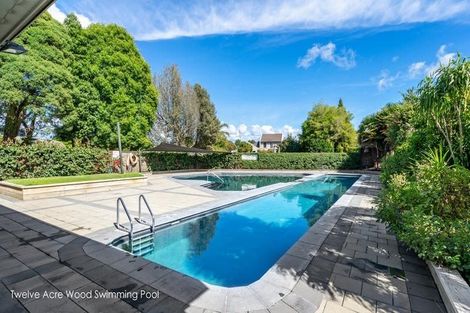 Photo of property in 41 Contour Avenue, Pyes Pa, Tauranga, 3112