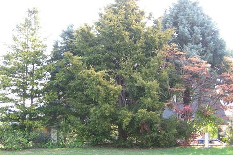 Photo of property in 36 Carlton Street, Bellevue, Tauranga, 3110