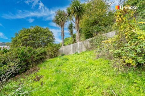 Photo of property in 91 Maitland Street, Dunedin Central, Dunedin, 9016