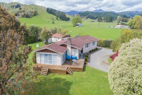 Photo of property in 133 Gladstone Road, Levin, 5571