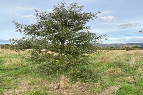 Photo of property in 31 Riveredge Terrace, Ohau, Levin, 5570