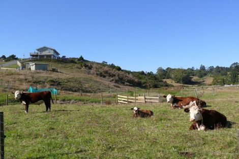 Photo of property in 37 Valley Road, Hikurangi, 0114