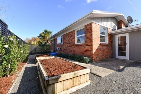 Photo of property in 48 Scott Street, Leamington, Cambridge, 3432