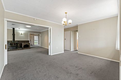 Photo of property in 14 Fifth Avenue, Mount Albert, Auckland, 1025