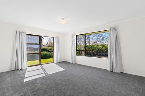 Photo of property in 223 Redwood Street, Witherlea, Blenheim, 7201