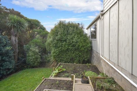 Photo of property in 37 Duckworth Street, Andersons Bay, Dunedin, 9013