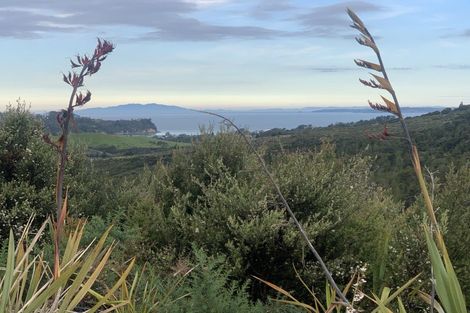 Photo of property in 238 Hillcrest Road, Wainui, 0931