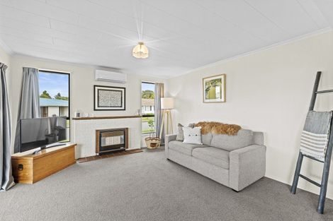 Photo of property in 30a Armagh Terrace, Marton, 4710
