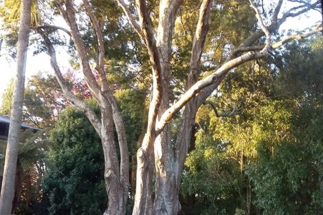 Photo of property in 14b Weka Road, Waipahihi, Taupo, 3330