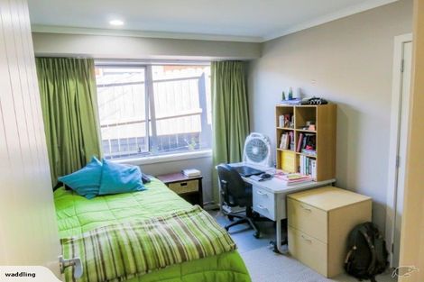 Photo of property in 17 Thomas Moore Place, Pukekohe, 2120