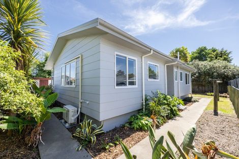 Photo of property in 207a Wolseley Street, Mayfair, Hastings, 4122