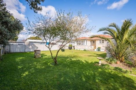 Photo of property in 25 Middlesex Street, Levin, 5510