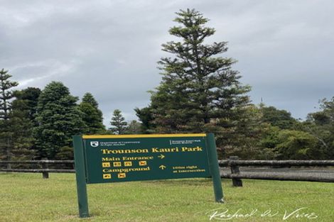 Photo of property in 382 Katui Road, Donnellys Crossing, 0379